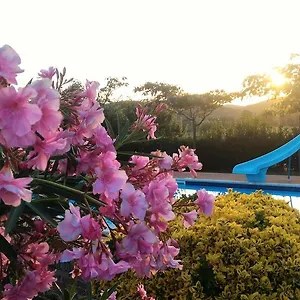 Alloggio per agriturismo Agriturismo La Mandriana, Cura Nuova